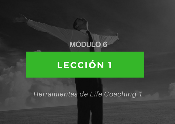 M Dulo Lecci N Vive Aprende Y Ejerce El Coaching